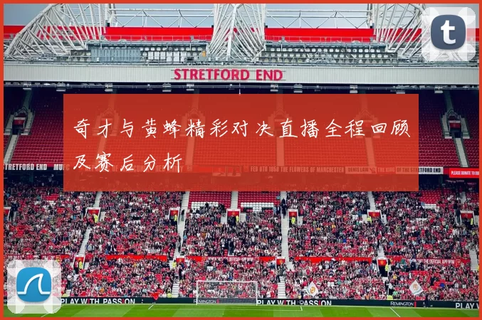 奇才与黄蜂精彩对决直播全程回顾及赛后分析