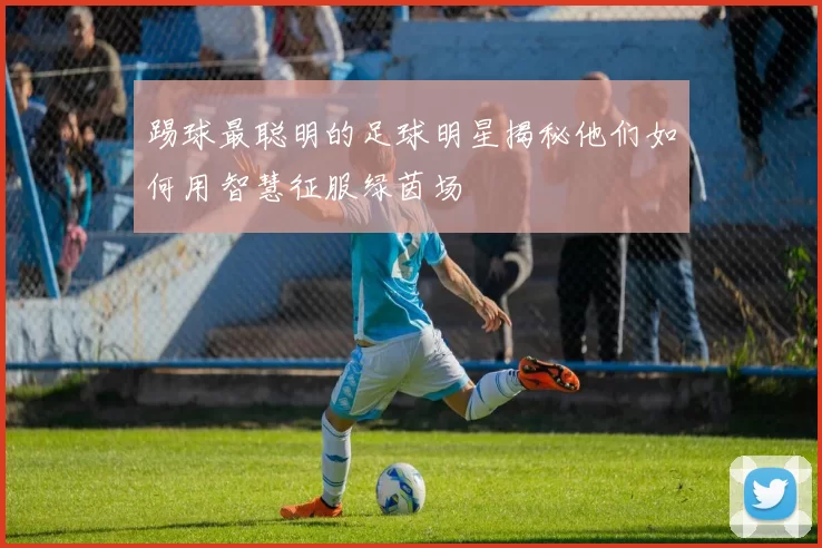 踢球最聪明的足球明星揭秘他们如何用智慧征服绿茵场