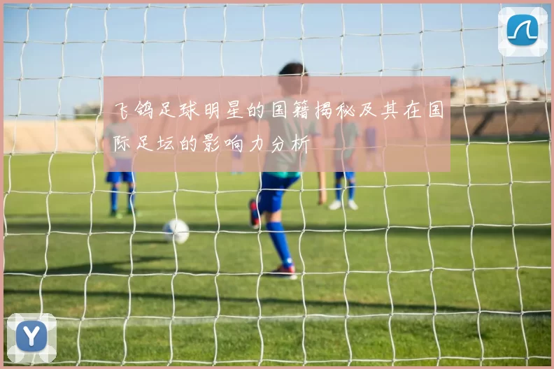 飞鸽足球明星的国籍揭秘及其在国际足坛的影响力分析