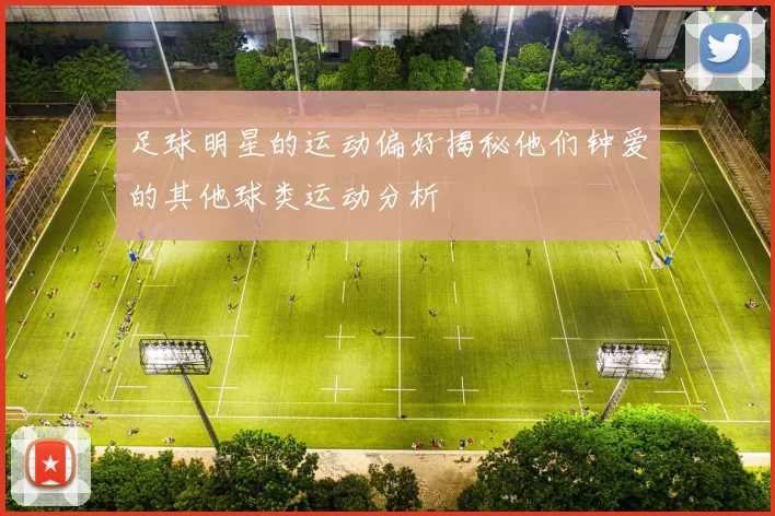 足球明星的运动偏好揭秘他们钟爱的其他球类运动分析