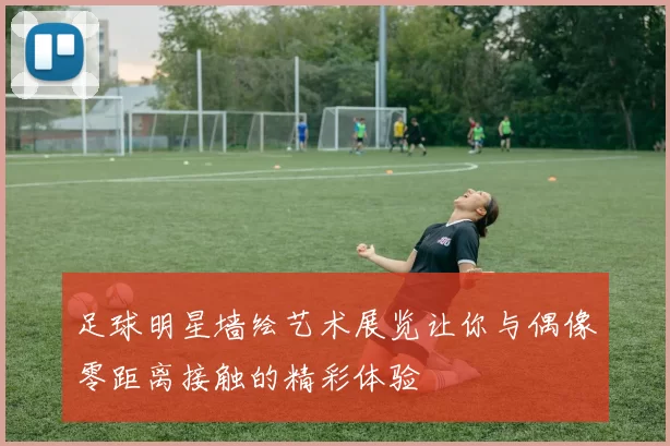 足球明星墙绘艺术展览让你与偶像零距离接触的精彩体验