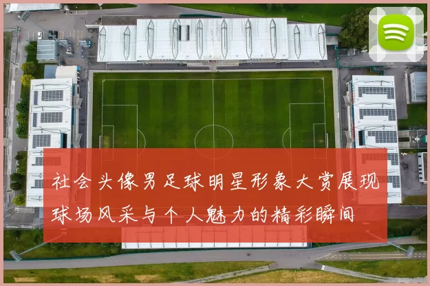 社会头像男足球明星形象大赏展现球场风采与个人魅力的精彩瞬间